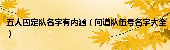 五人固定隊名字有內(nèi)涵（問道隊伍號名字大全）