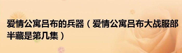 愛情公寓呂布的兵器（愛情公寓呂布大戰(zhàn)服部半藏是第幾集）