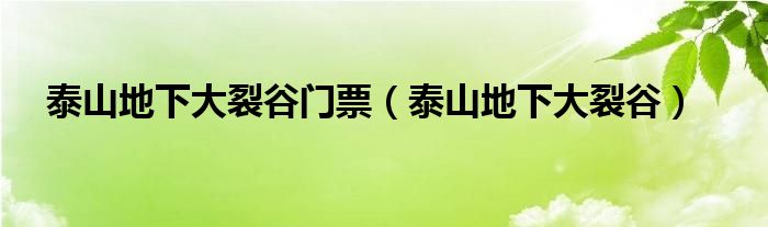 泰山地下大裂谷門票（泰山地下大裂谷）