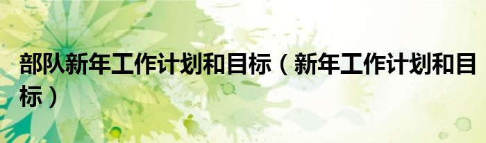部隊新年工作計劃和目標（新年工作計劃和目標）