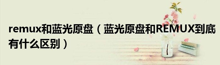 remux和藍(lán)光原盤（藍(lán)光原盤和REMUX到底有什么區(qū)別）