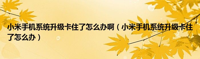 小米手機系統(tǒng)升級卡住了怎么辦?。ㄐ∶资謾C系統(tǒng)升級卡住了怎么辦）