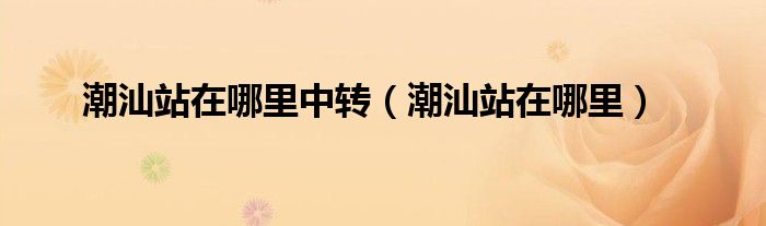 潮汕站在哪里中轉(zhuǎn)（潮汕站在哪里）