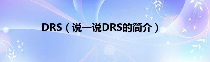 DRS（說一說DRS的簡介）