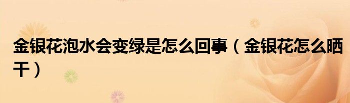 金銀花泡水會變綠是怎么回事（金銀花怎么曬干）