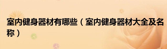 室內健身器材有哪些（室內健身器材大全及名稱）