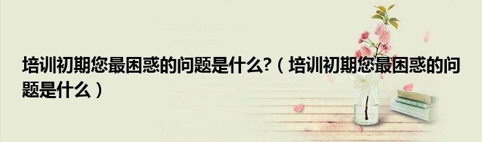 培訓初期您最困惑的問題是什么?（培訓初期您最困惑的問題是什么）