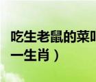 吃生老鼠的菜叫什么名字（生餐老鼠功勞大打一生肖）
