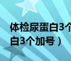 體檢尿蛋白3個加號陽性沒有癥狀（體檢尿蛋白3個加號）