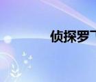 偵探羅飛系列（飛哥偵探記）