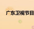 廣東衛(wèi)視節(jié)目表今日（廣東衛(wèi)視節(jié)目表）