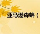 亞馬遜森蚺（說一說亞馬遜森蚺的簡介）
