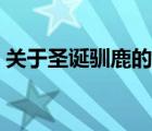 關(guān)于圣誕馴鹿的動(dòng)畫片（圣誕節(jié)馴鹿的故事）