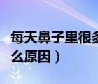 每天鼻子里很多干鼻屎（鼻子干疼鼻屎多是什么原因）