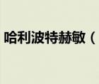哈利波特赫敏（說一說哈利波特赫敏的簡介）