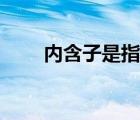 內(nèi)含子是指的是什么（內(nèi)含子是指）