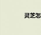 靈芝怎么吃（林芝怎么吃）