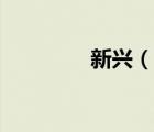 新興（說(shuō)一說(shuō)新興的簡(jiǎn)介）