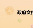 政府文件怎么寫（政府文件）