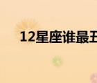 12星座誰最丑（12月25日是什么星座）