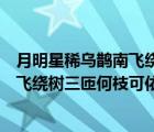 月明星稀烏鵲南飛繞樹三匝何枝可依翻譯（月明星稀烏鵲南飛繞樹三匝何枝可依）
