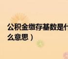 公積金繳存基數(shù)是什么意思貸款（公積金個人繳存基數(shù)是什么意思）