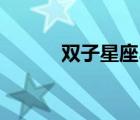 雙子星座3好玩嗎（雙子星座3）