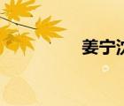 姜寧沈其琛小說（姜寧）