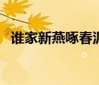 誰(shuí)家新燕啄春泥前一句（誰(shuí)家新燕啄春泥）