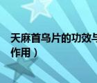 天麻首烏片的功效與作用和副作用（天麻首烏片的功效及副作用）