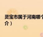 靈寶市屬于河南哪個市（說一說靈寶市屬于河南哪個市的簡介）