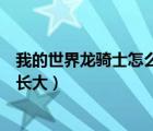 我的世界龍騎士怎么讓龍飛起來(lái)（我的世界龍騎士怎么快速長(zhǎng)大）