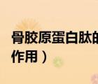 骨膠原蛋白肽的功效與作用（骨膠原的功效與作用）