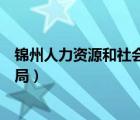 錦州人力資源和社會保障局郵編（錦州人力資源和社會保障局）
