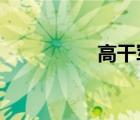高干軍婚言情小說推薦