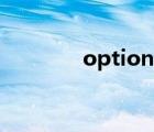 optional 翻譯（optional）