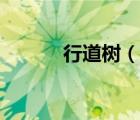 行道樹（說一說行道樹的簡介）