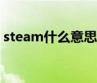 steam什么意思中文翻譯（steam什么意思）