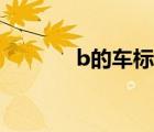 b的車標是什么牌子（b車標）