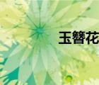玉簪花圖片（玉簪花花語(yǔ)）