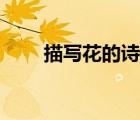 描寫花的詩句小學(xué)（描寫花的詩句）