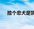 撿個(gè)忠犬是餓狼txt（撿個(gè)忠犬是餓狼）