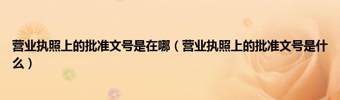 營業(yè)執(zhí)照上的批準(zhǔn)文號(hào)是在哪（營業(yè)執(zhí)照上的批準(zhǔn)文號(hào)是什么）