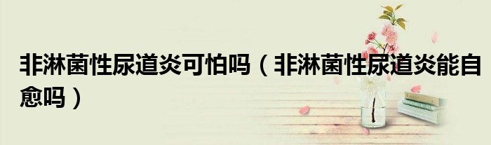 非淋菌性尿道炎可怕嗎（非淋菌性尿道炎能自愈嗎）