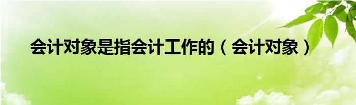會計(jì)對象是指會計(jì)工作的（會計(jì)對象）