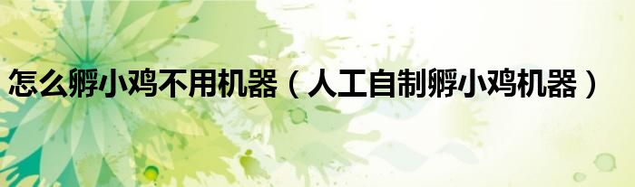 怎么孵小雞不用機(jī)器（人工自制孵小雞機(jī)器）
