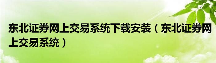 東北證券網(wǎng)上交易系統(tǒng)下載安裝（東北證券網(wǎng)上交易系統(tǒng)）
