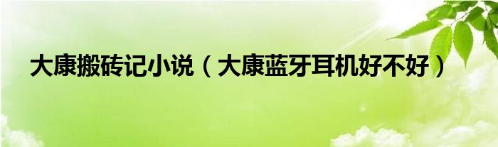 大康搬磚記小說（大康藍(lán)牙耳機(jī)好不好）