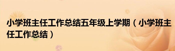 小學(xué)班主任工作總結(jié)五年級(jí)上學(xué)期（小學(xué)班主任工作總結(jié)）