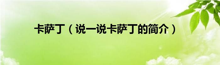 卡薩?。ㄕf一說卡薩丁的簡介）